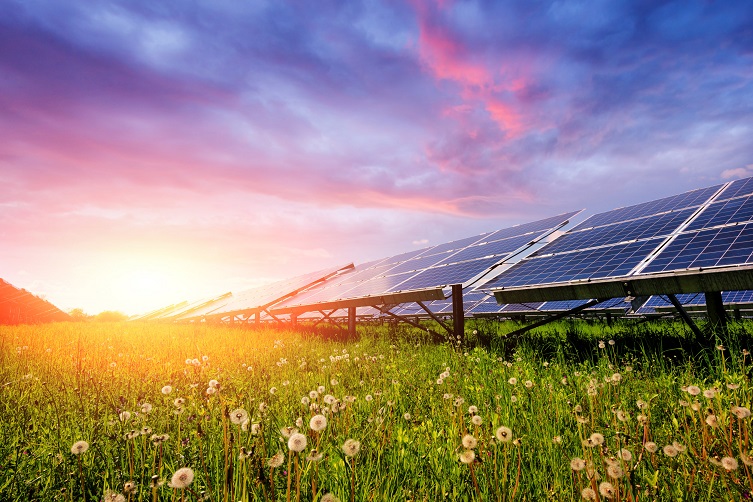 Sustainable Solar: Empowering the World with Clean Energy