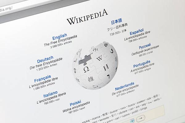 Highlighting Original Voices The Need for Diverse Representation on Wikipedia