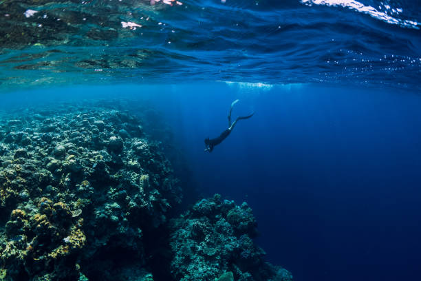 Thrilling Similan Liveaboard Diving for an Unmatched Adventure