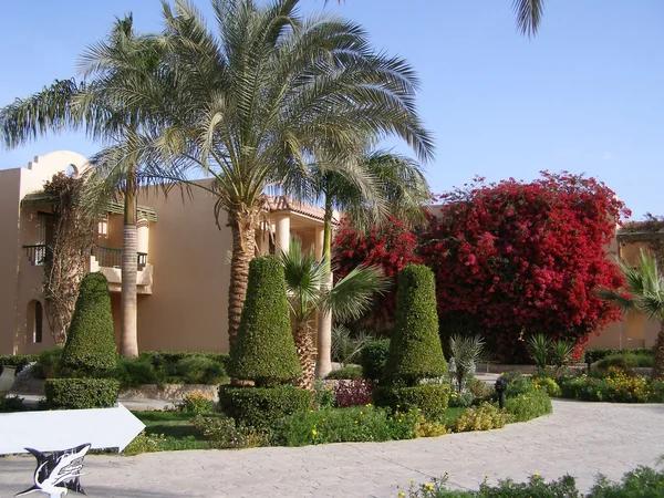 How transparent is Westgate Resorts with potential buyers